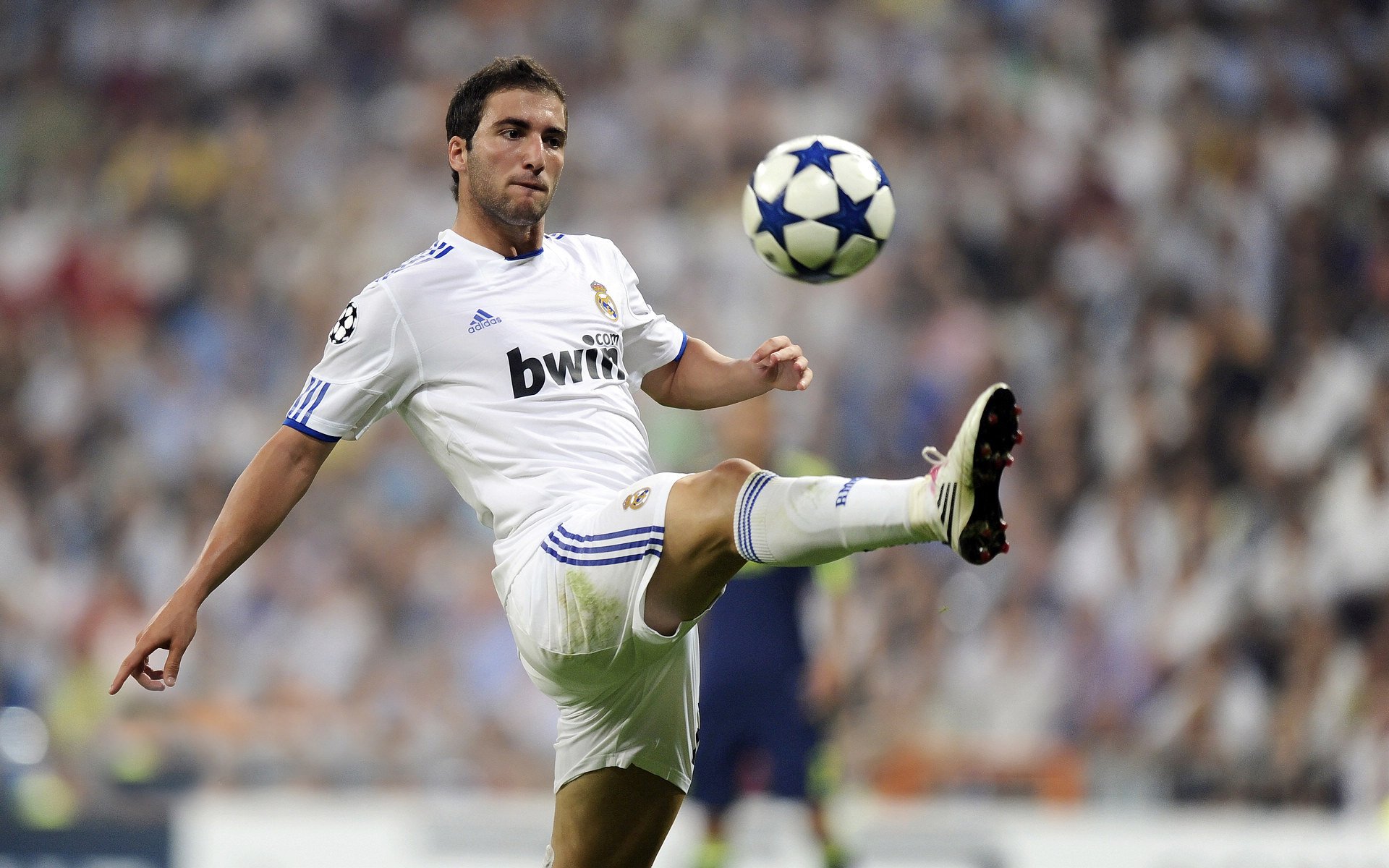 “南非羚羊队的非洲之星：萨尔·巴赫的荣耀时刻”